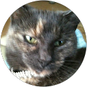 Sue Jones profile picture